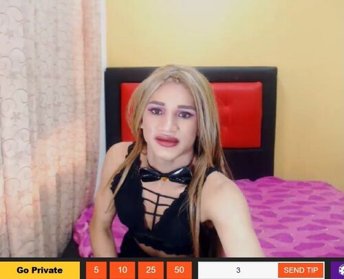 Cheap tranny 1 on 1 chats on Cam4