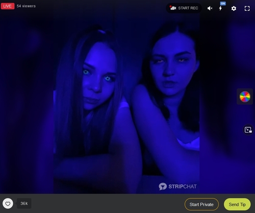 Stripchat accepts PayPal as a payment method for lesbian cam chat shows