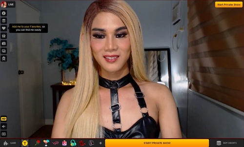 LiveJasmin offers using prepaid cards and multiple other paymant options